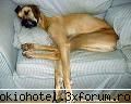 poze funny:) - ce ditamai picioarele - poze