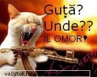 poze funny:) - asta e pref mea..muhahaha jos manelele!!! si cam - poze