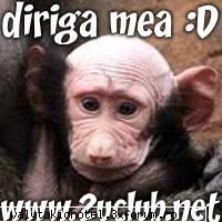 :rotfl:  :rotfl: uite k am mai gasit poze funny:)